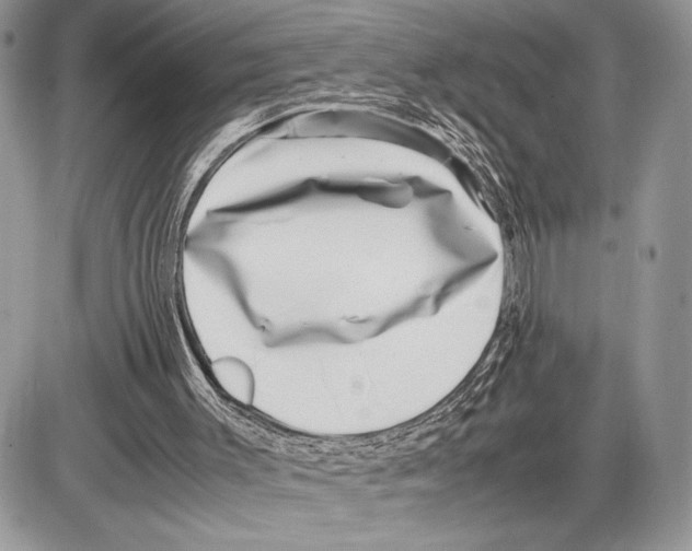 X0000085730003200704131631