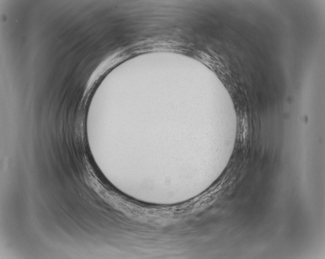 X0000085730004200704131631