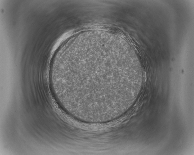 X0000085730006200704131631