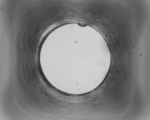 X0000085730008200704131631