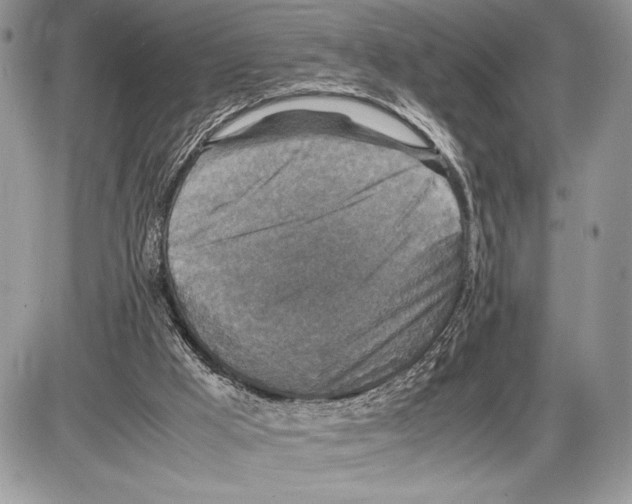 X0000085730009200704131631