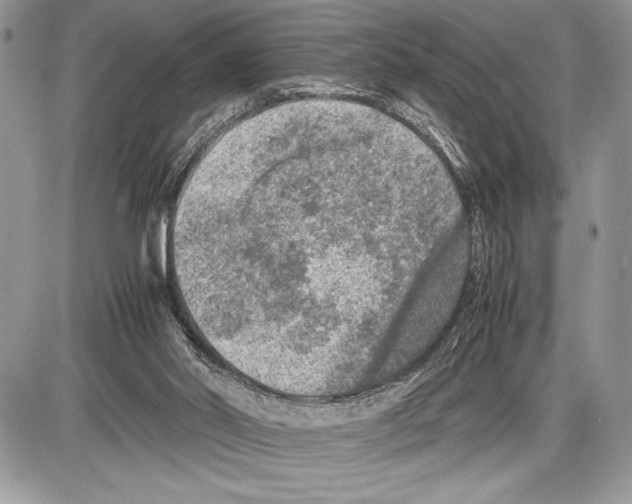 X0000085730014200704131631