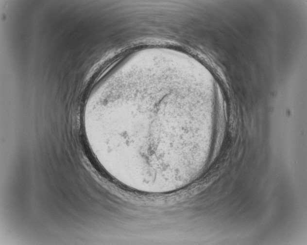 X0000085730015200704131631