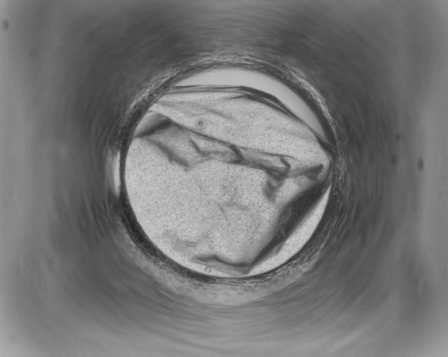 X0000085730020200704131631