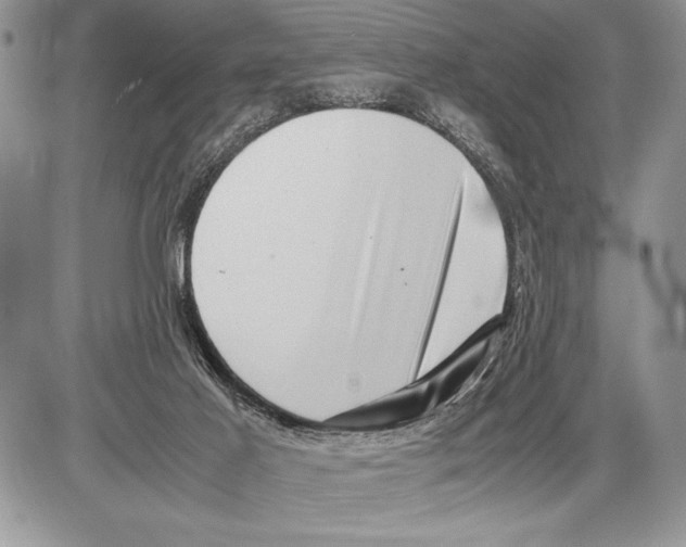 X0000085730021200704131631