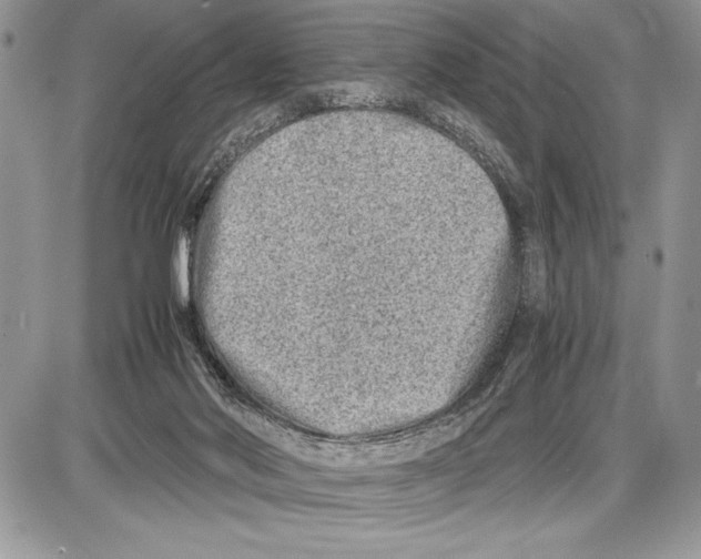 X0000085730022200704131631