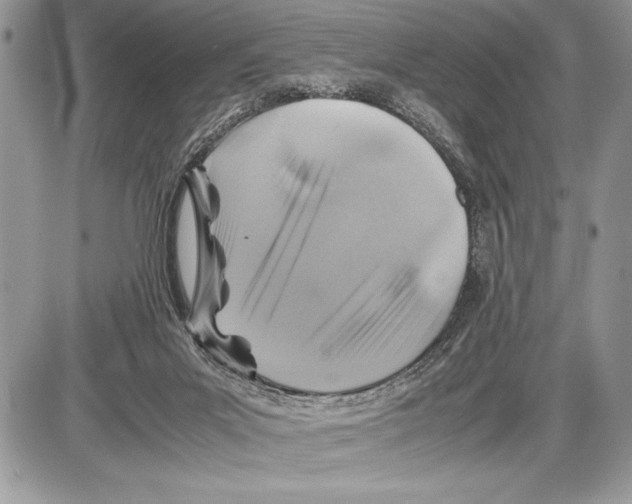 X0000085730023200704131631