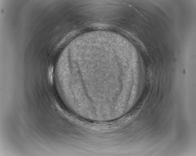 X0000085730024200704131631