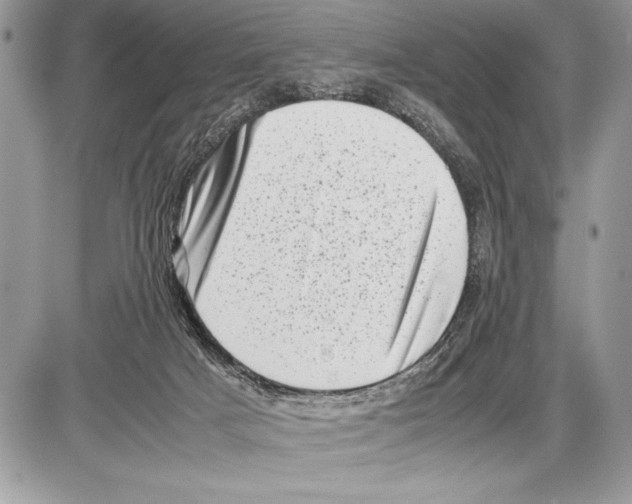 X0000085730025200704131631