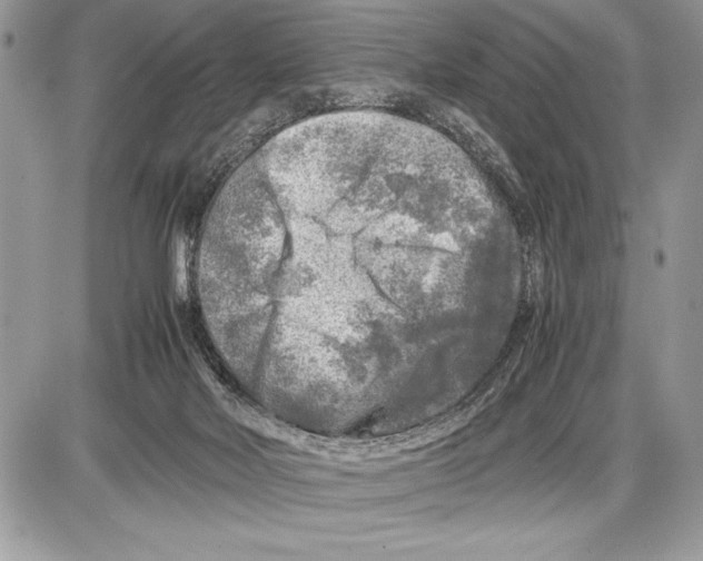 X0000085730026200704131631