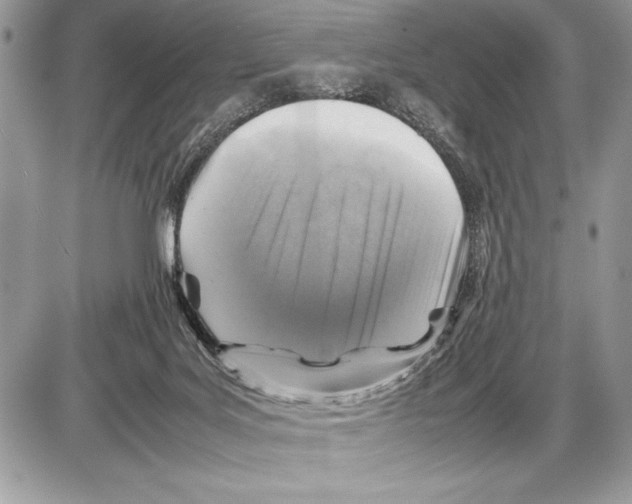 X0000085730027200704131631