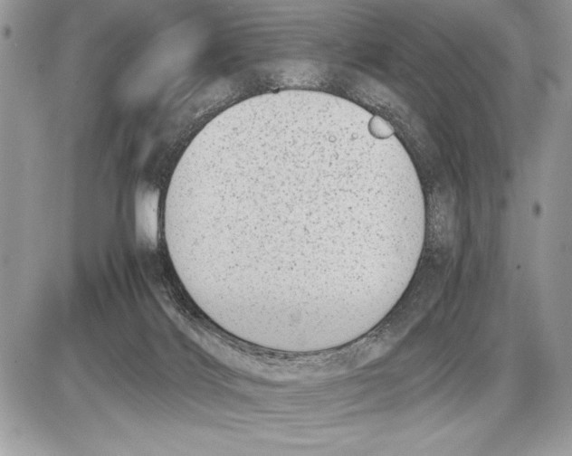 X0000085730028200704131631