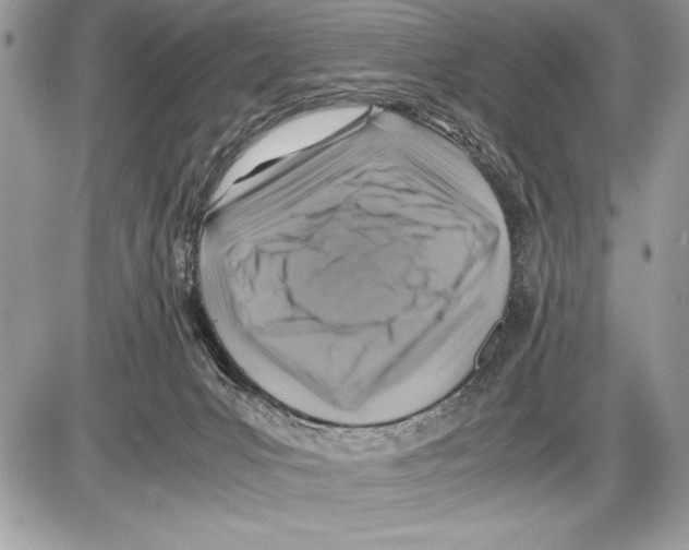 X0000085730031200704131630