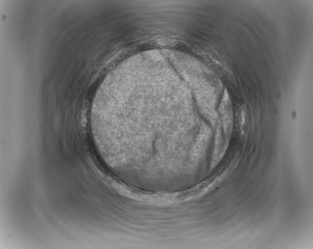 X0000085730032200704131630