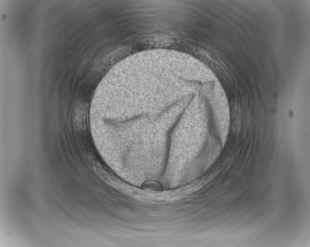 X0000085730034200704131630