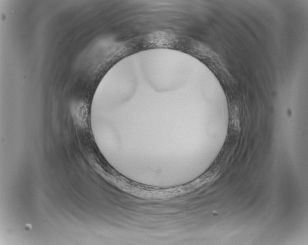 X0000085730036200704131630