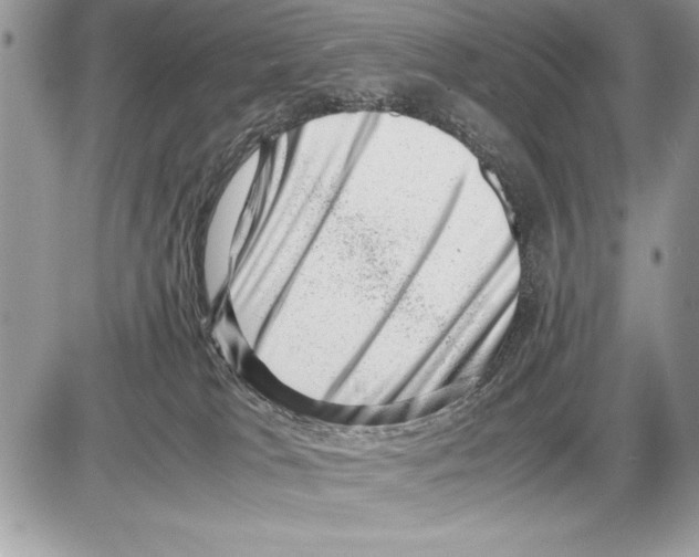 X0000085730037200704131630