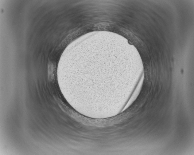 X0000085730038200704131630