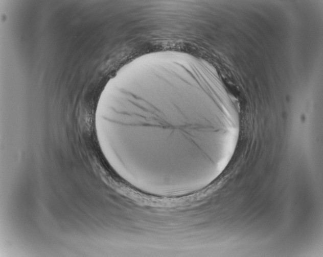 X0000085730039200704131630