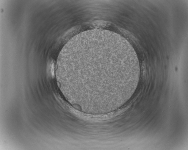 X0000085730042200704131630