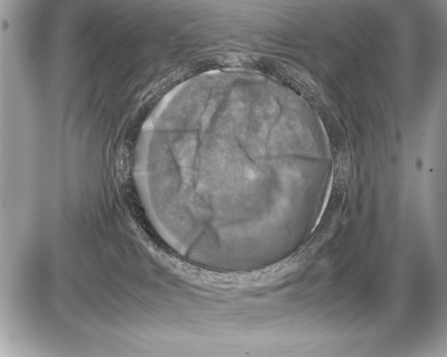 X0000085730043200704131630