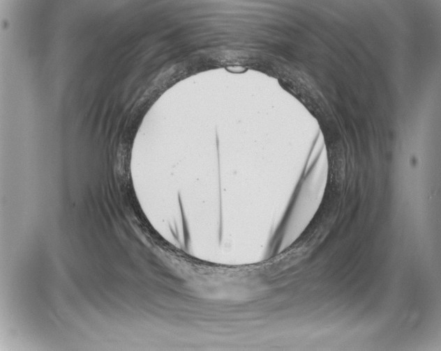 X0000085730044200704131630