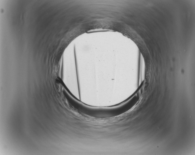 X0000085730045200704131630