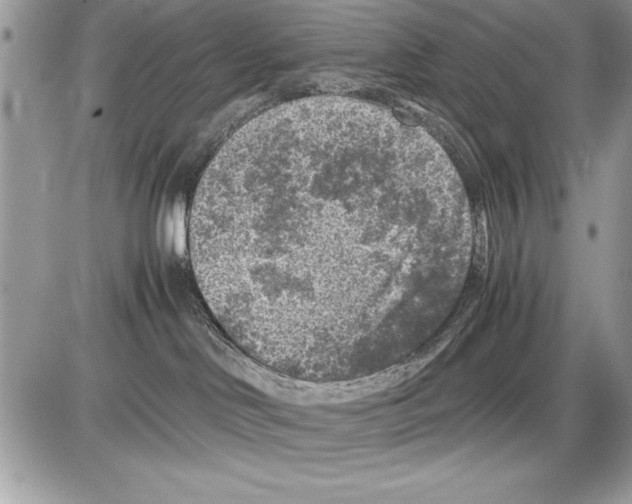 X0000085730046200704131630