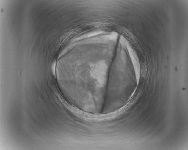 X0000085730047200704131630