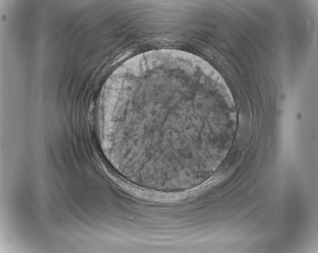 X0000085730048200704131630