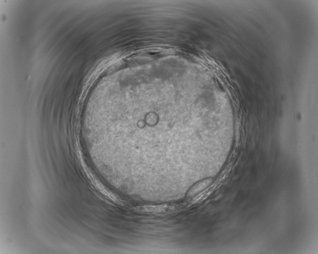 X0000085730049200704131629