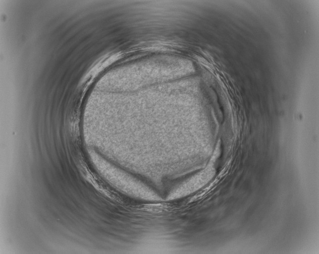 X0000085730050200704131629