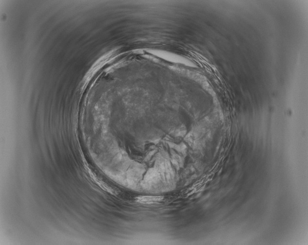 X0000085730051200704131629