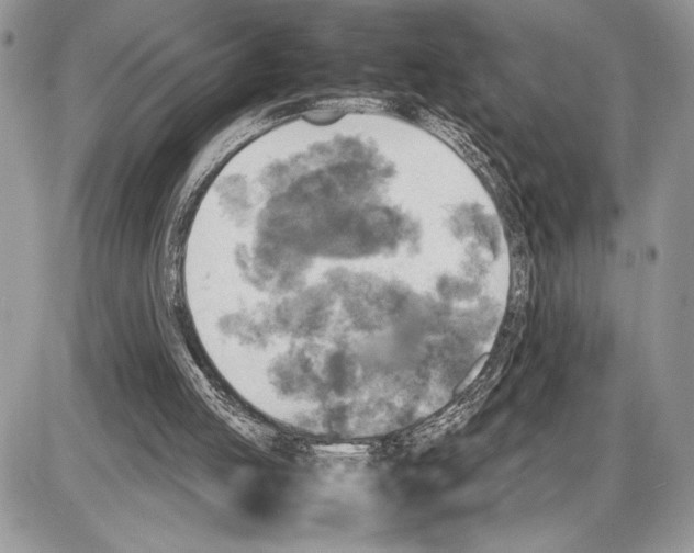 X0000085730053200704131629