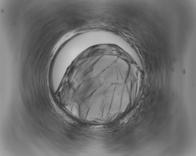 X0000085730054200704131629