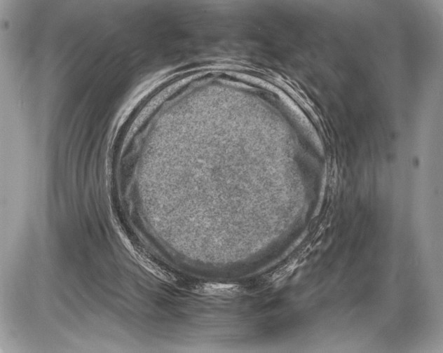 X0000085730055200704131630