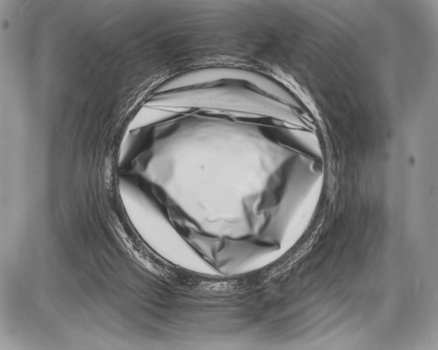 X0000085730057200704131630