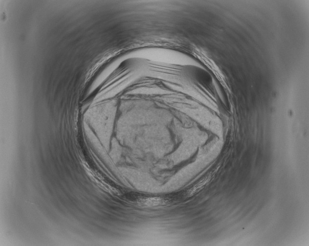 X0000085730058200704131630