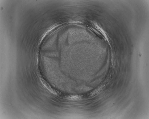 X0000085730059200704131630