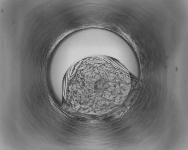 X0000085730060200704131630