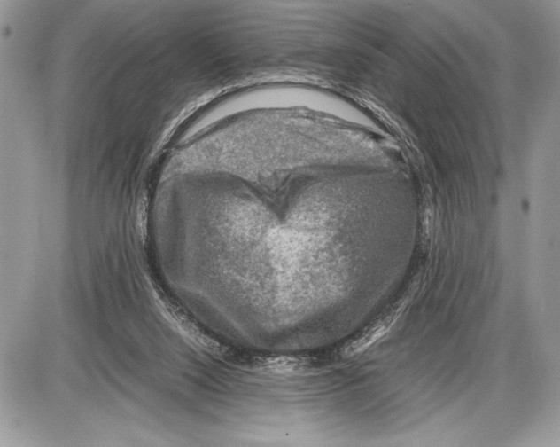 X0000085730064200704131630