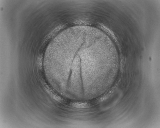 X0000085730065200704131630