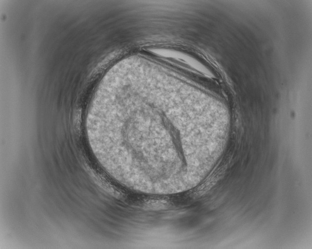 X0000085730066200704131630