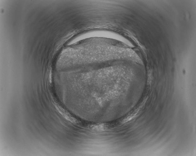 X0000085730068200704131630