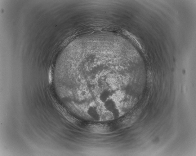 X0000085730069200704131630