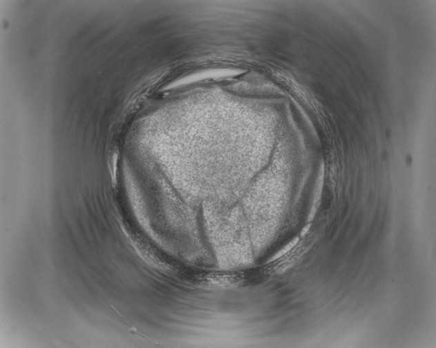 X0000085730070200704131630