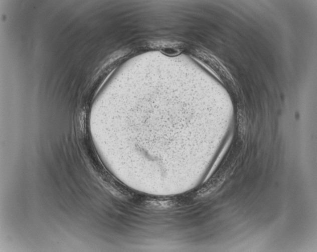 X0000085730071200704131630