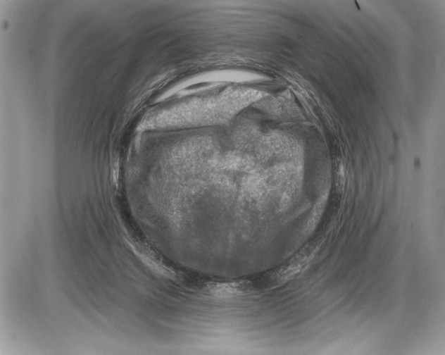 X0000085730072200704131630