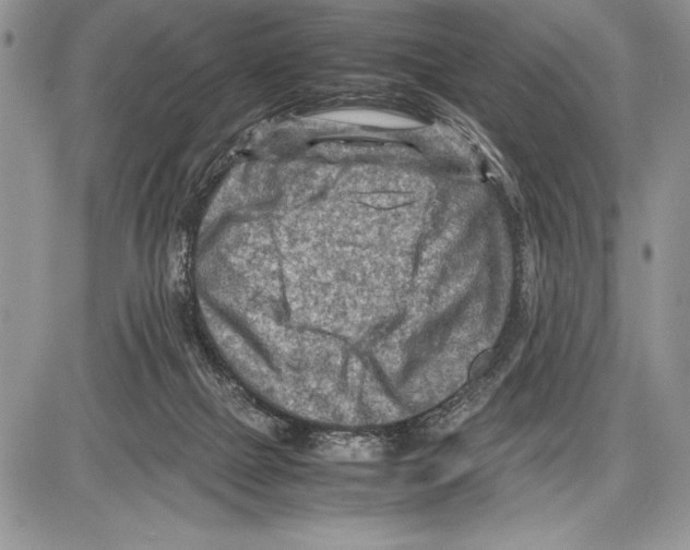 X0000085730073200704131630