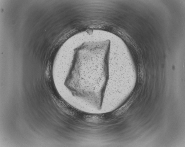 X0000085730074200704131630